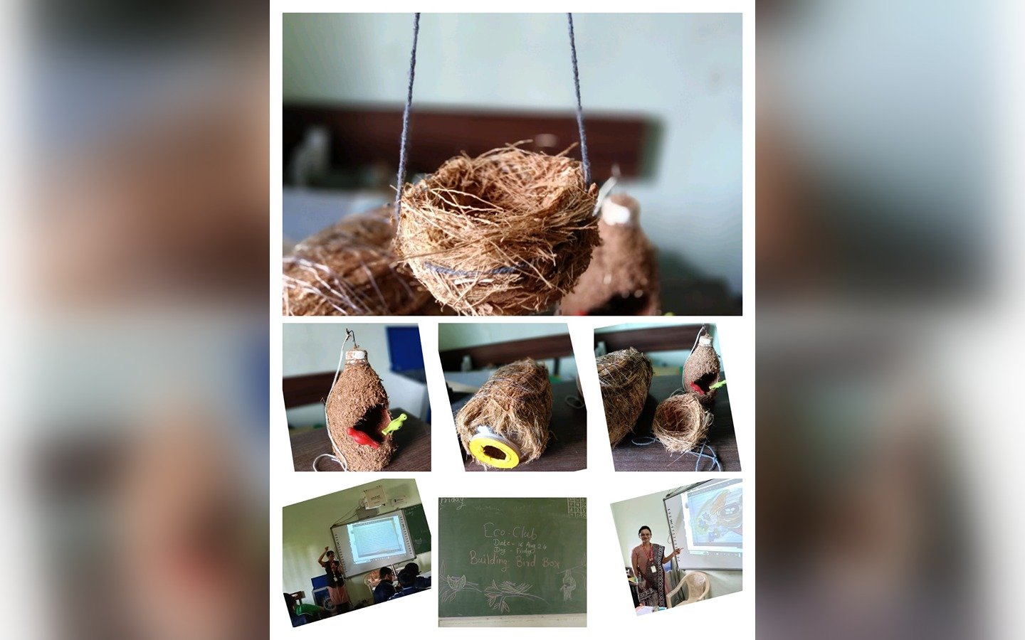 Activity image